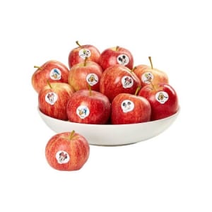 Lorem ipsum dolor sit amet, cibo mundi ea duo, vim exerci phaedrum